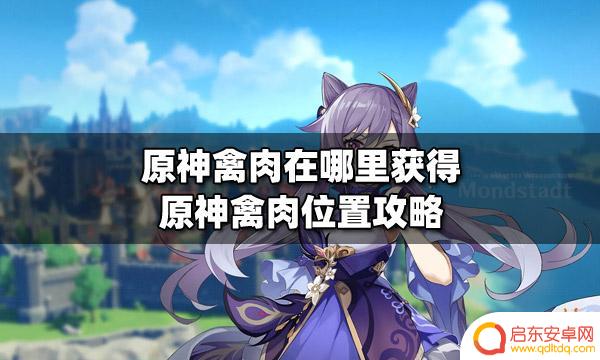 禽肉原神哪里能刷 原神禽肉怎么获得