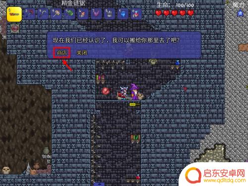 泰拉瑞亚球饰怎么获得 泰拉瑞亚水晶球怎么使用