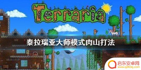泰拉瑞亚肉山怎么打无伤 《泰拉瑞亚》大师模式肉山攻略