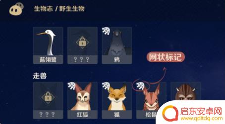 原神新活动犬武者怎么装备 《原神》犬武者活动攻略