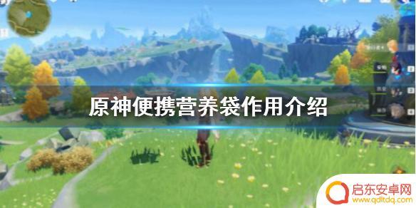 营养袋原神有什么用 《原神》便携营养袋怎么使用