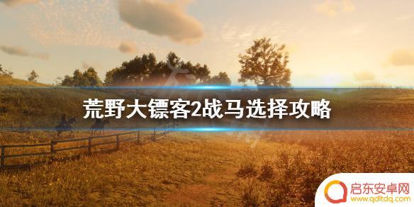 荒野大镖客如何选马种 荒野大镖客2战马选择攻略