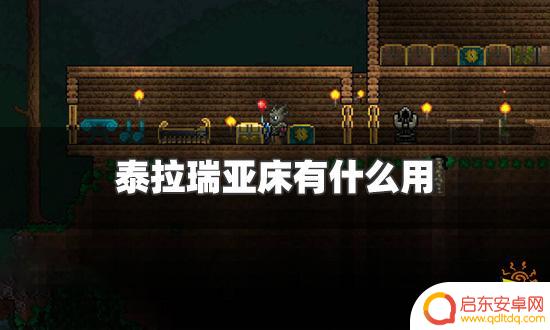 泰拉瑞亚床的用处 泰拉瑞亚床有什么功能