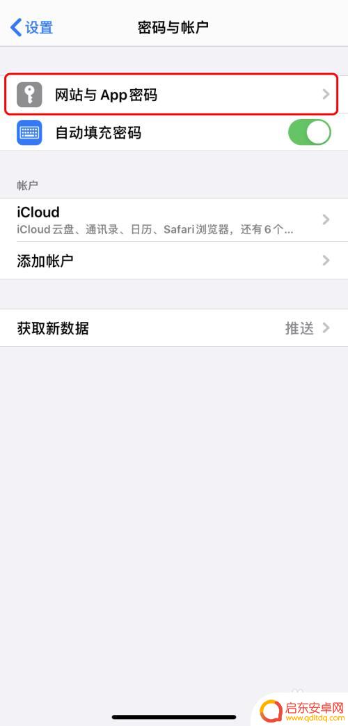 如何找苹果账号密码手机 iPhone如何查看已保存的应用程序密码