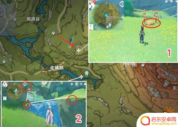 原神劫波莲在哪采集 原神劫波莲位置分享