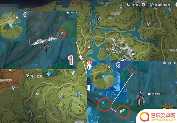原神劫波莲在哪采集 原神劫波莲位置分享