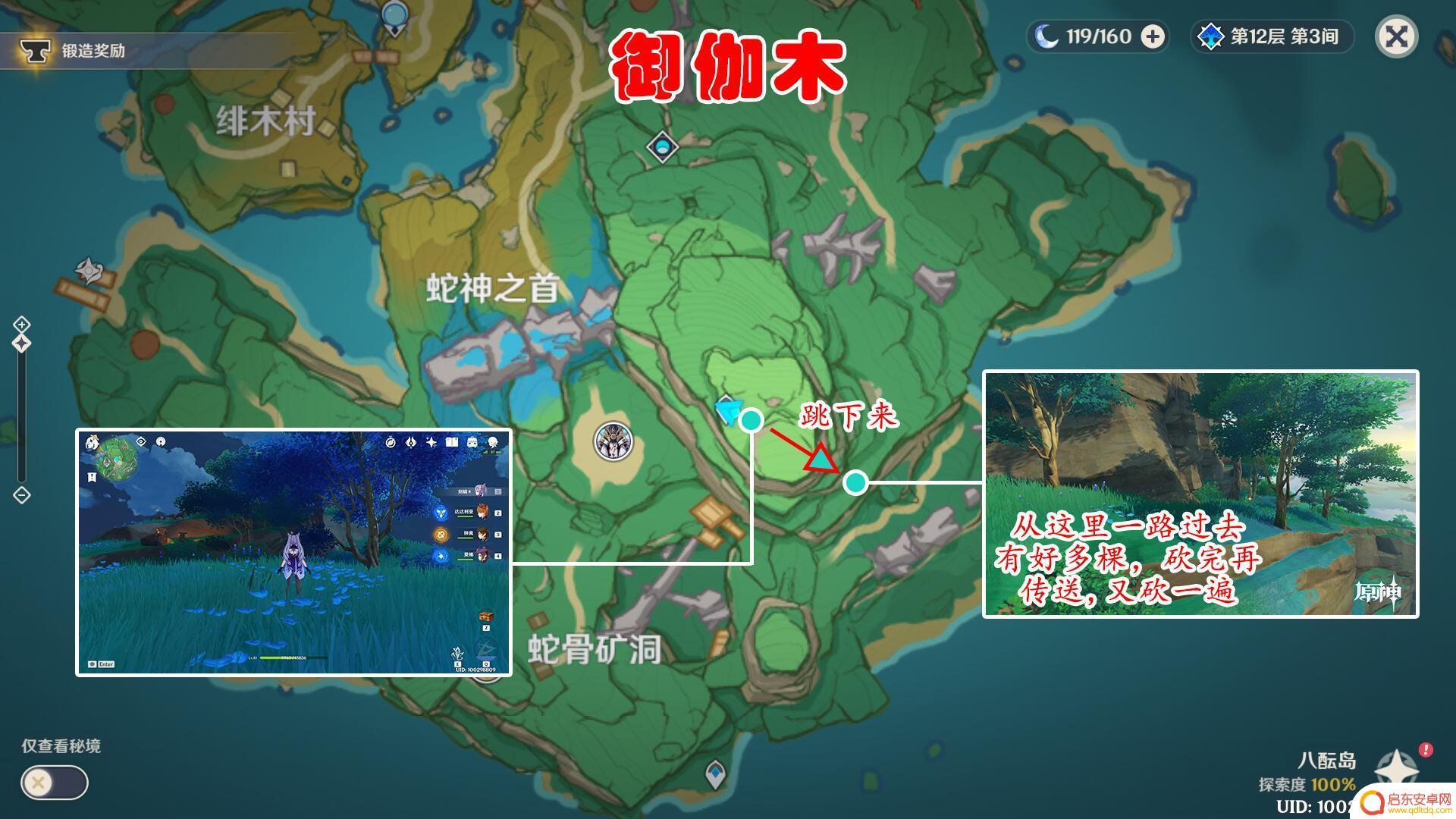 原神御伽木最佳采集区域 原神御伽木采集地点