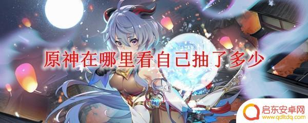 原神怎么看抽了多少发 原神自己抽了多少次