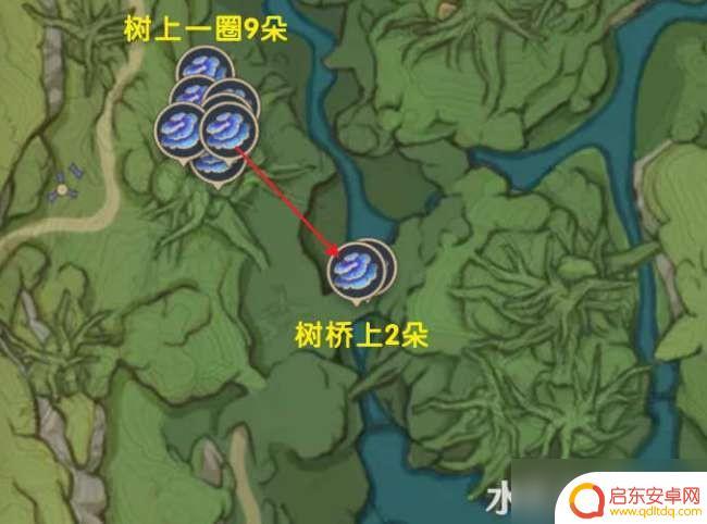 原神中圣王树体菇在哪里 《原神》树王圣体菇位置攻略