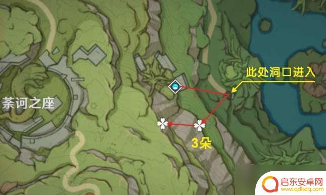 原神中圣王树体菇在哪里 《原神》树王圣体菇位置攻略