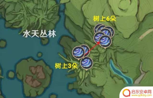原神中圣王树体菇在哪里 《原神》树王圣体菇位置攻略