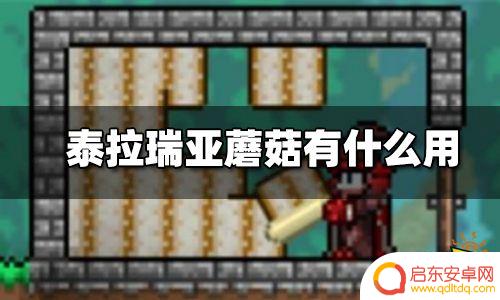 泰拉瑞亚蘑菇环境有什么用？探索蘑菇环境的好处