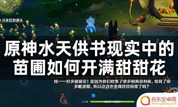 原神水天供书现实中的苗圃开满了甜甜花 水天供书现实中的苗圃如何开满甜甜花