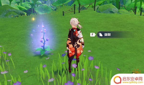 原神水天供书现实中的苗圃开满了甜甜花 水天供书现实中的苗圃如何开满甜甜花