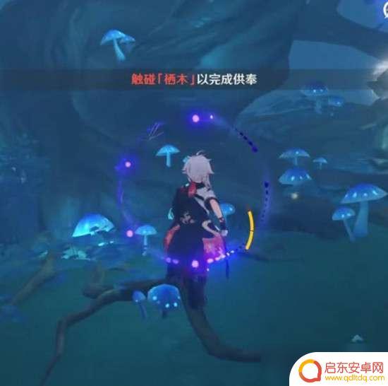 原神循着迷雾找到三处栖木 原神栖木位置图解