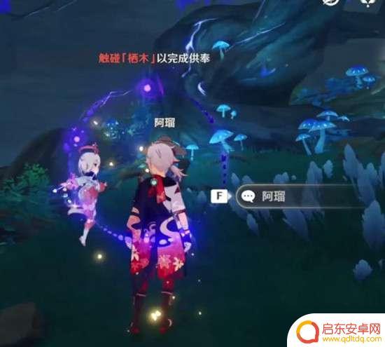 原神循着迷雾找到三处栖木 原神栖木位置图解
