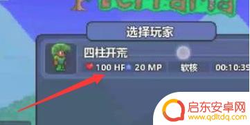 泰拉瑞亚pc版怎么输入代码 PC泰拉瑞亚代码怎么开启
