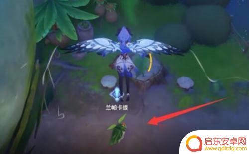 原神兰那罗一同冒险 《原神》兰那罗冒险攻略