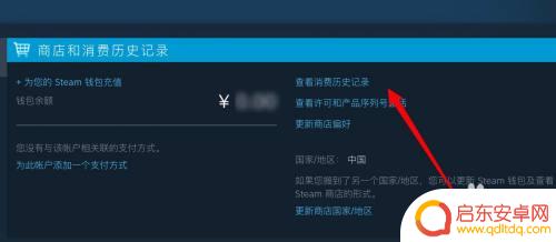 怎么在steam上查看购买记录 Steam交易记录查询方法