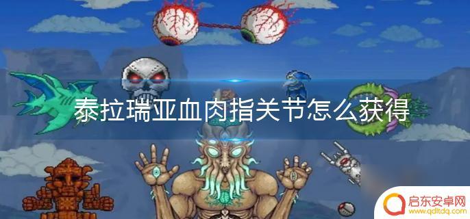 泰拉瑞亚如何获得血肉关节 泰拉瑞亚血肉指关节掉落方式