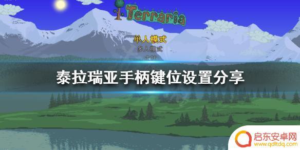 泰拉瑞亚手柄怎么动不了 《泰拉瑞亚》PC版手柄支持设置