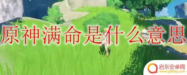 原神满命需要什么 原神满命有什么用途