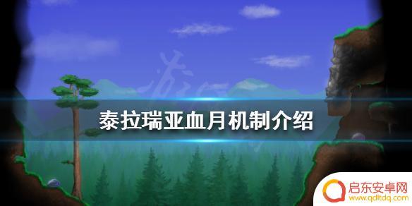 泰拉瑞亚血月刷什么怪物 《泰拉瑞亚》血月是什么意思