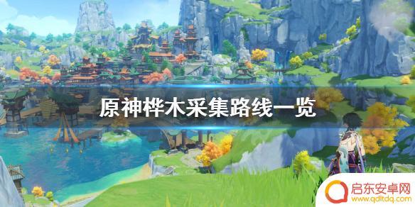 原神卒桦木 《原神》桦木采集地点