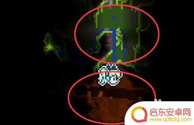 泰拉瑞亚如何预测神庙位置 泰拉怎么在丛林神庙中精准定位