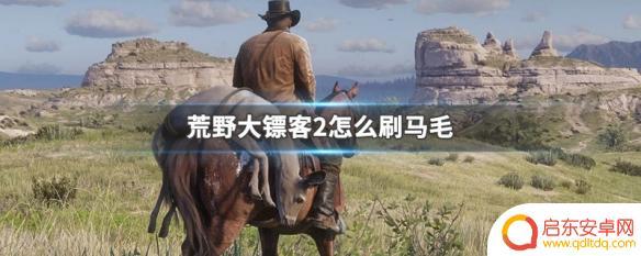 荒野大镖客2马怎么刷毛 如何在荒野大镖客2中快速刷马毛