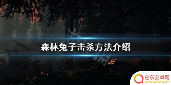 steam森林兔子 《森林》兔子击杀技巧