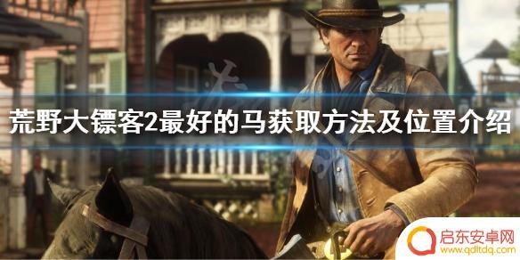 荒野大镖客2最好白马 《荒野大镖客2》最好的马怎么获得