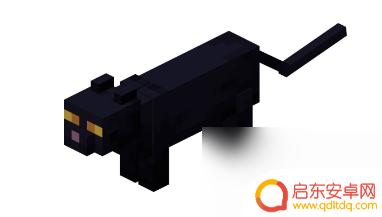 我的萌宠世界怎么注册账号 我的世界驯化猫咪的方法