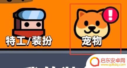 弹壳特攻队如何安装宠物 弹壳特攻队如何让宠物参战