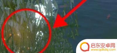 浮生忆玲珑怎么找坐标 浮生忆玲珑宝藏图位置攻略