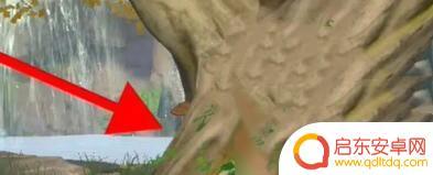浮生忆玲珑怎么找坐标 浮生忆玲珑宝藏图位置攻略