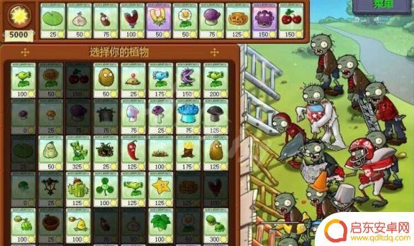 植物大战僵尸怎么无限金币 植物大战僵尸刷金币关卡推荐