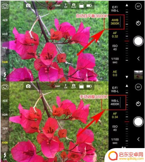 手机拍照色彩变色怎么调 手机拍照照片偏色怎么办