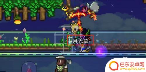 泰拉瑞亚洞穴探索药水如何使用 泰拉瑞亚药水合成方法