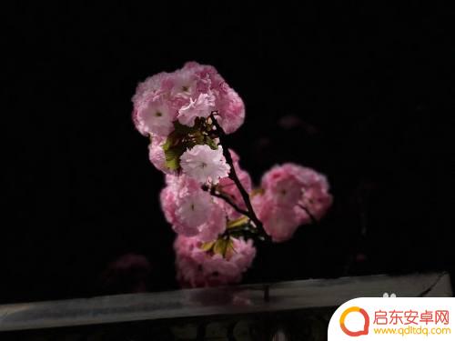 手机怎么拍舞台模式 苹果舞台光拍照注意事项