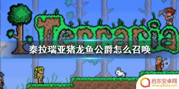 泰拉瑞亚怎么召唤诛仙公爵 如何召唤《泰拉瑞亚》猪龙鱼公爵BOSS