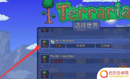 泰拉瑞亚如何开存档 泰拉瑞亚物品存档怎么用教程一览