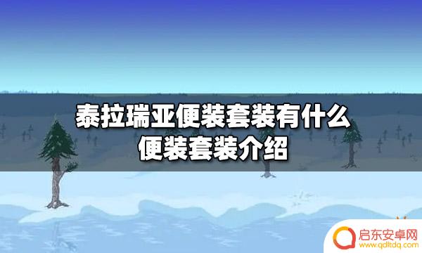 泰拉瑞亚便装有什么用 泰拉瑞亚便装套装属性