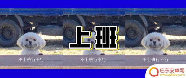 小鳄鱼旦旦作者抖音(小鳄鱼旦旦头像)