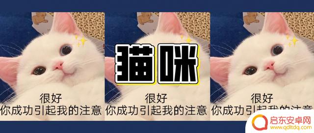 小鳄鱼旦旦作者抖音(小鳄鱼旦旦头像)