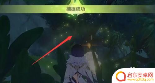 原神蕈兽怎么获得? 快速了解蕈兽获取方法