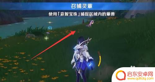 原神蕈兽怎么获得? 快速了解蕈兽获取方法