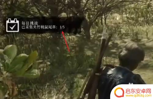 夹竹桃植物 荒野大镖客2 荒野大镖客2夹竹桃在哪里找