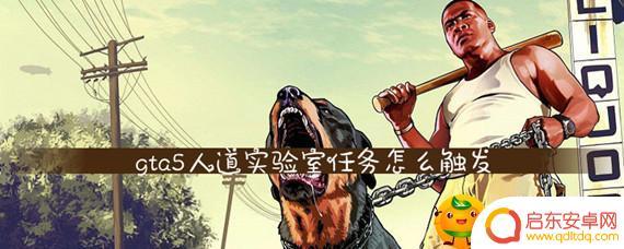 gta5线上人道实验室下一个任务是什么 如何开启GTA5人道实验室任务