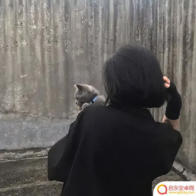 南阳公主抖音小说(南阳公主的小说)